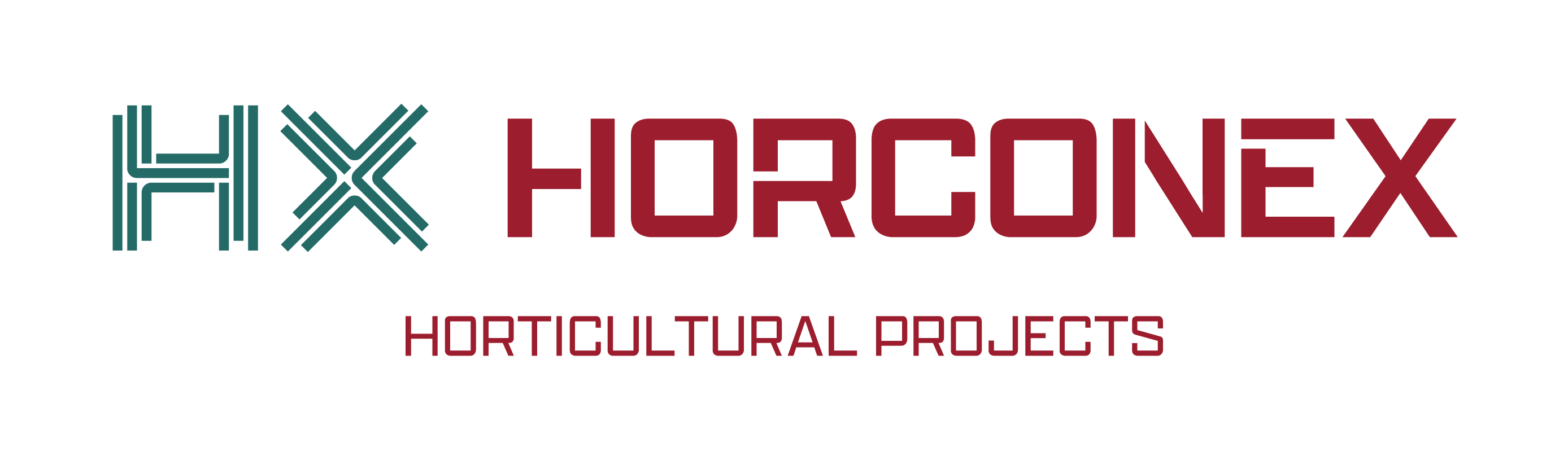 horconex-logox.jpg